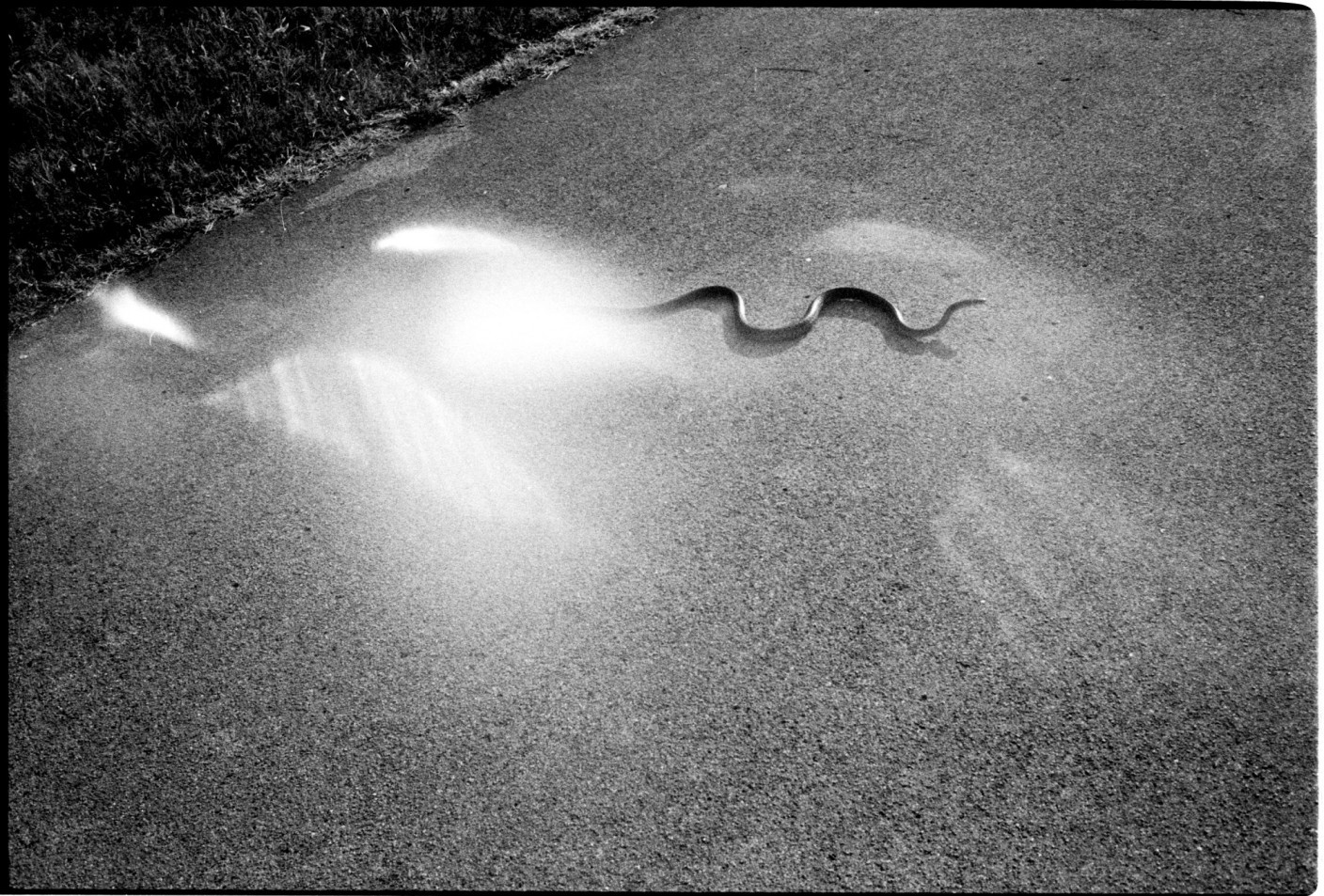© Alex Dietrich